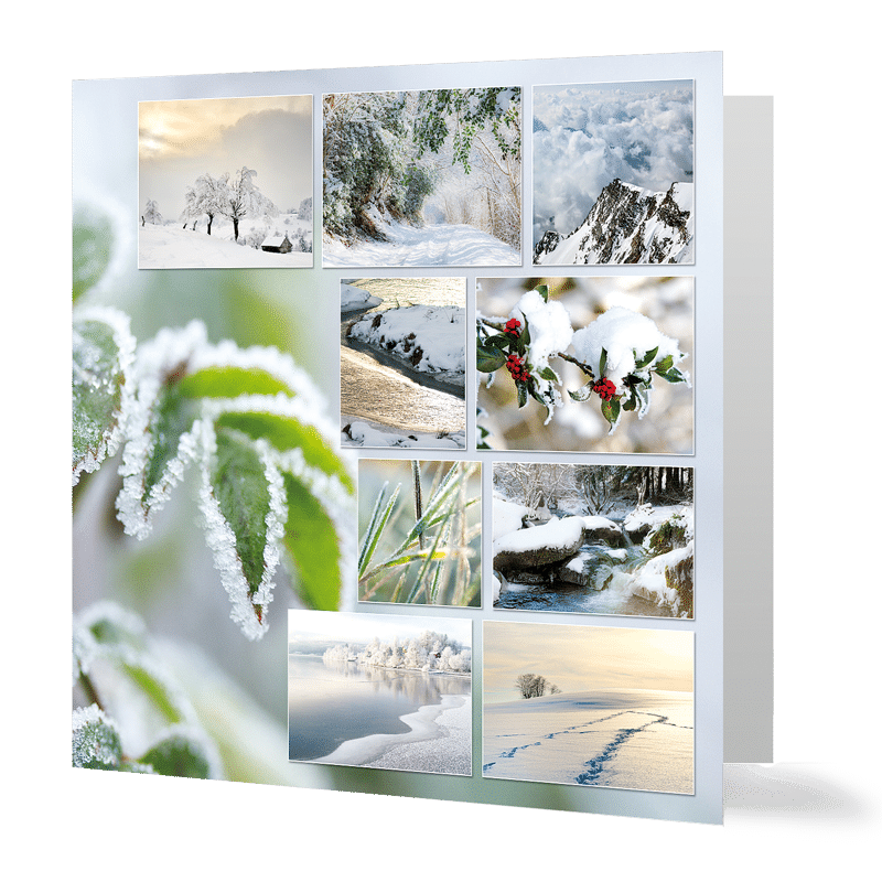 carte-voeux-2017-paysages-hiver