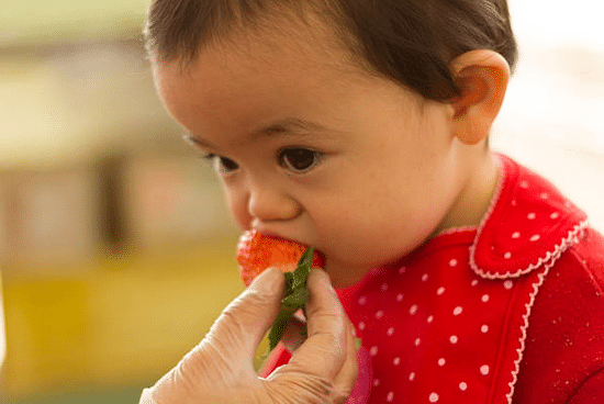 Eveil du goût chez les bébés : pourquoi est-ce important ?