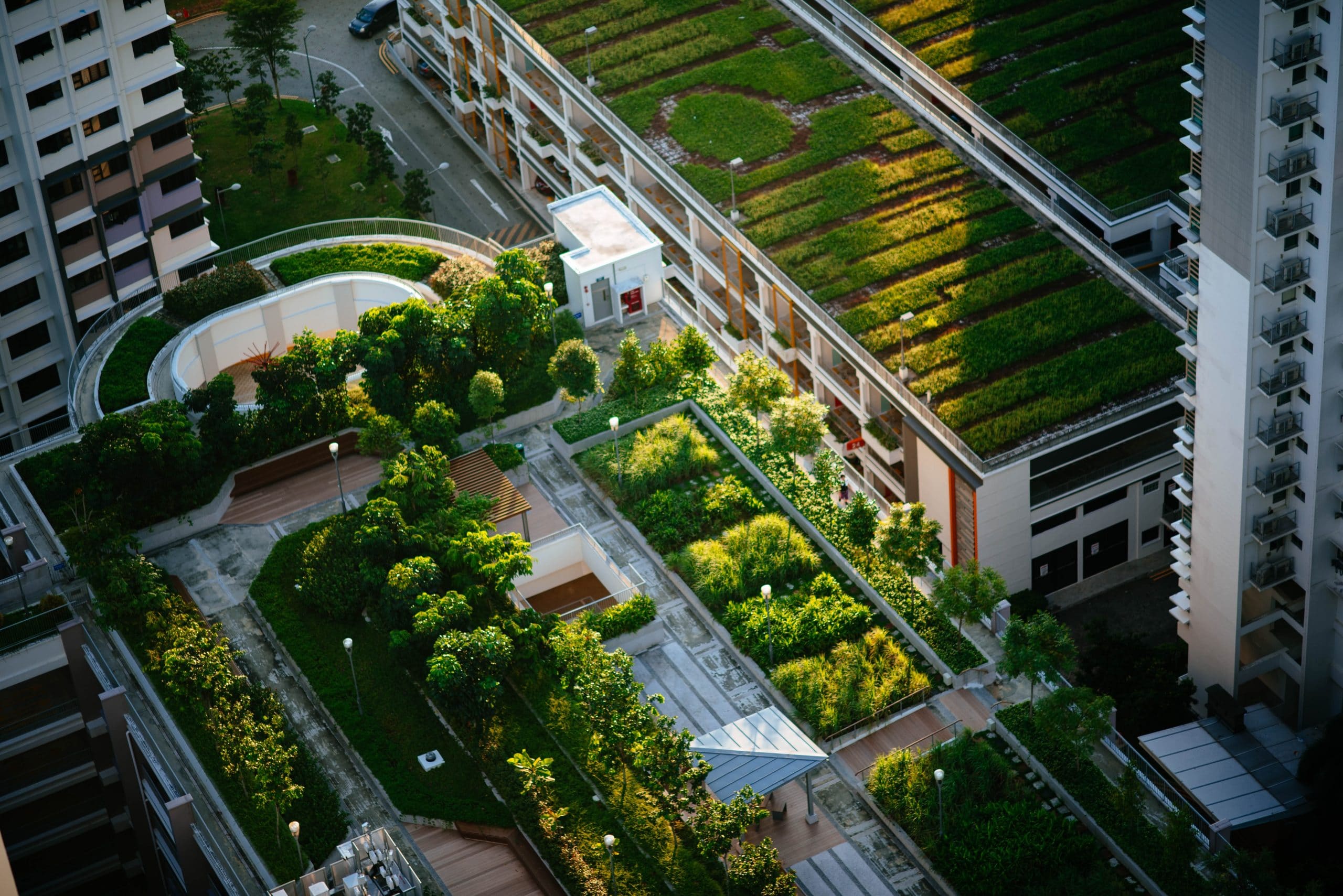 Un toit végétal sur un immeuble