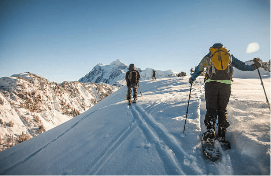 personnes faisant une randonnée en raquettes dans la montagne