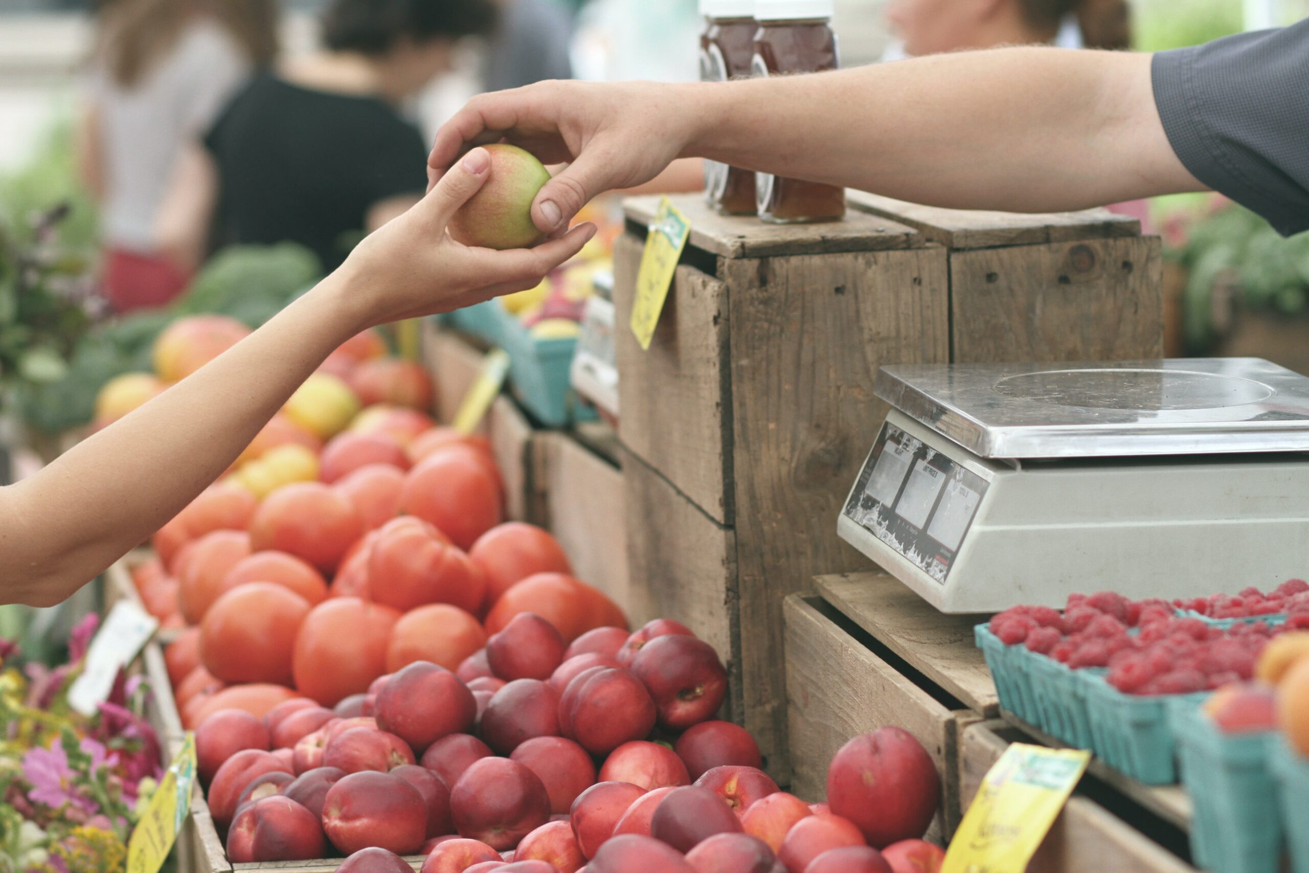 comment faire ses courses sans se ruiner